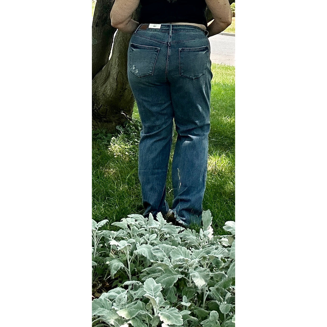 Judy Blue Marty Wide Leg Destroyed Jeans - Rhapsody and Renascence