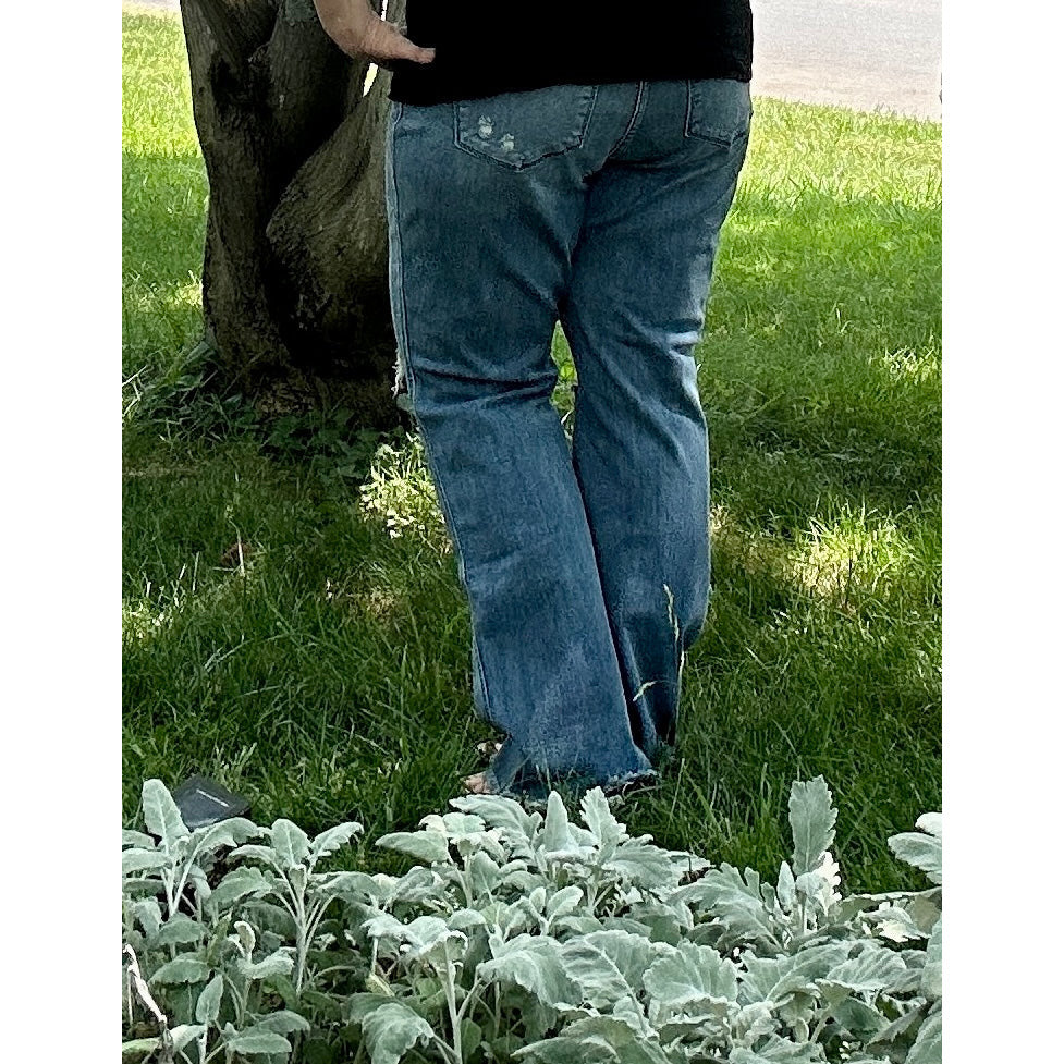 Judy Blue Marty Wide Leg Destroyed Jeans - Rhapsody and Renascence